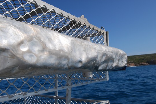 A vendre: cage anti requin TBE, prix à négocier