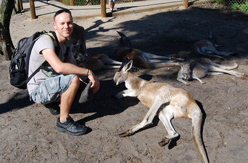 photo kangourou australie