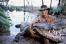 Les mots à connaître avant d’aller en Australie