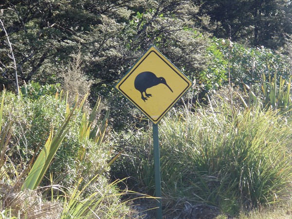 Kiwi nouvelle-zélande photo panneau