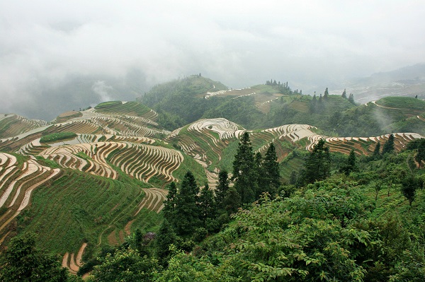 Que voir en Chine - rizières longsheng