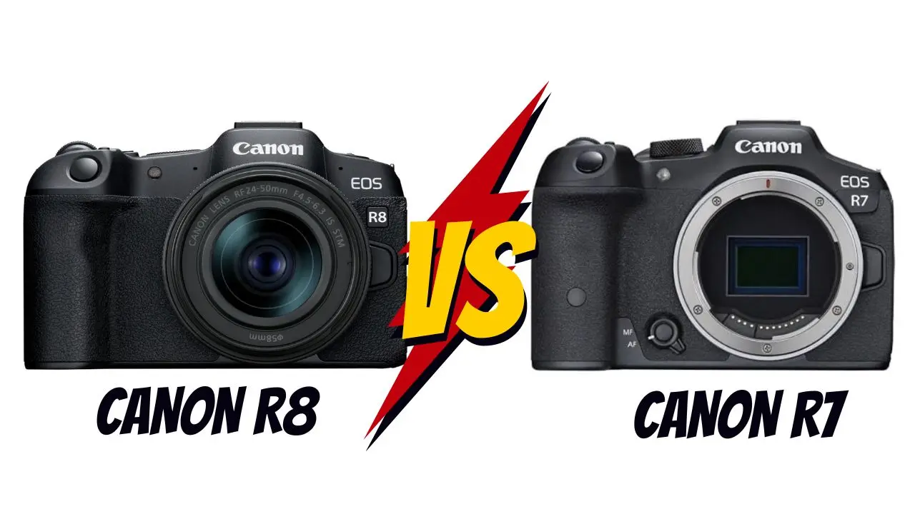 Canon R8 VS canon R7 lequel choisir