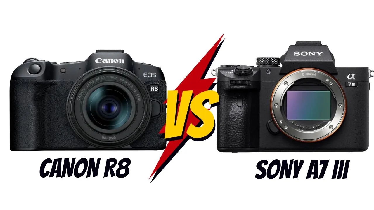 Canon R8 vs Sony A7 III lequel choisir