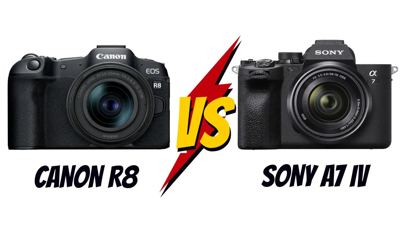 canon R8 vs sony A7 IV lequel choisir