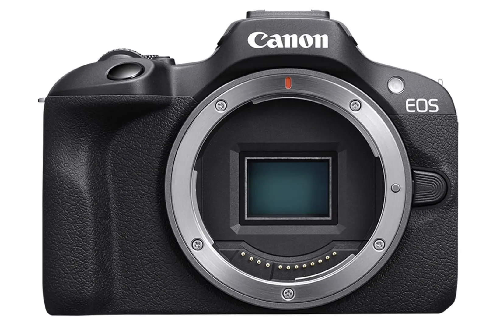 meilleurs objectifs pour Canon EOS R100