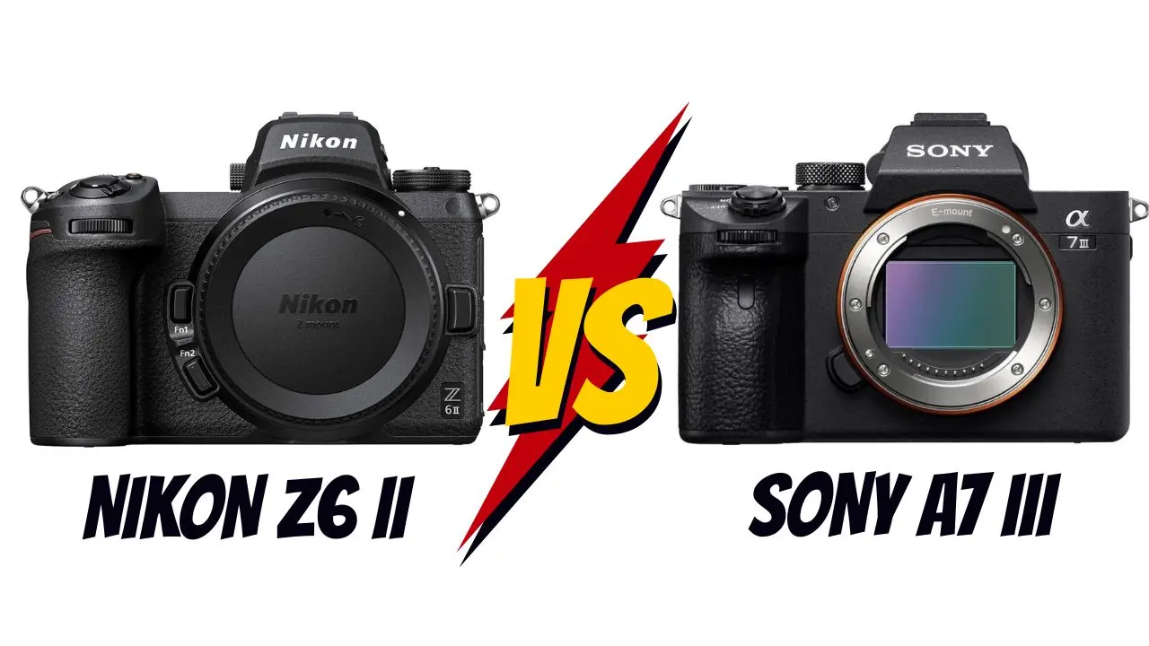 nikon z6 II vs sony a7 III lequel choisir