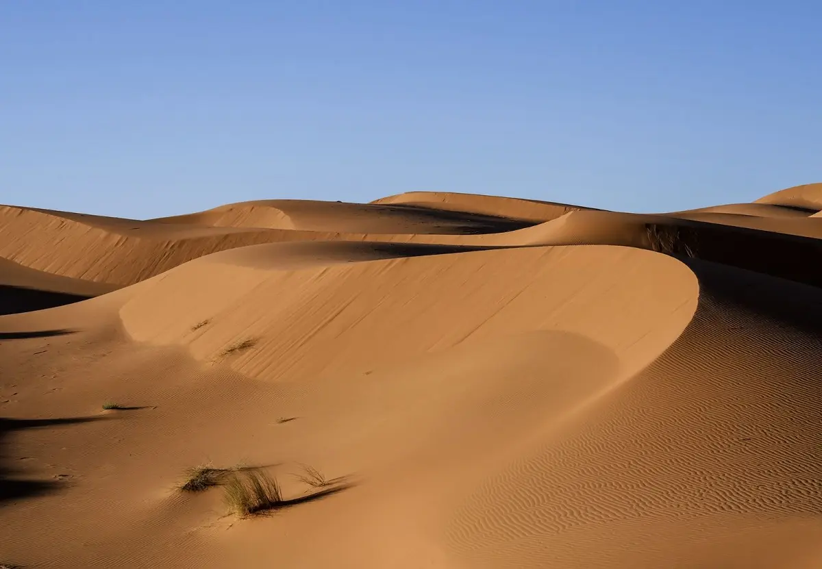 quel objectif pour Panasonic Lumix G97