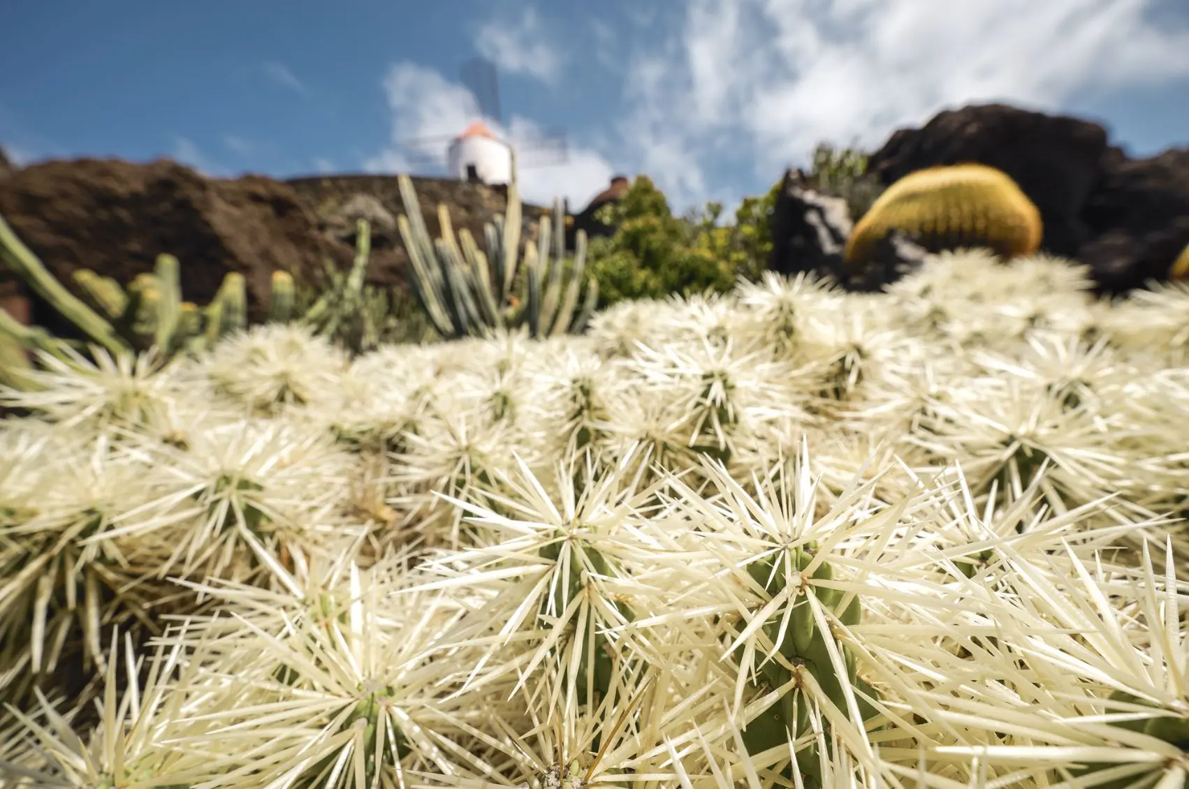 quel objectif pour Panasonic Lumix S9