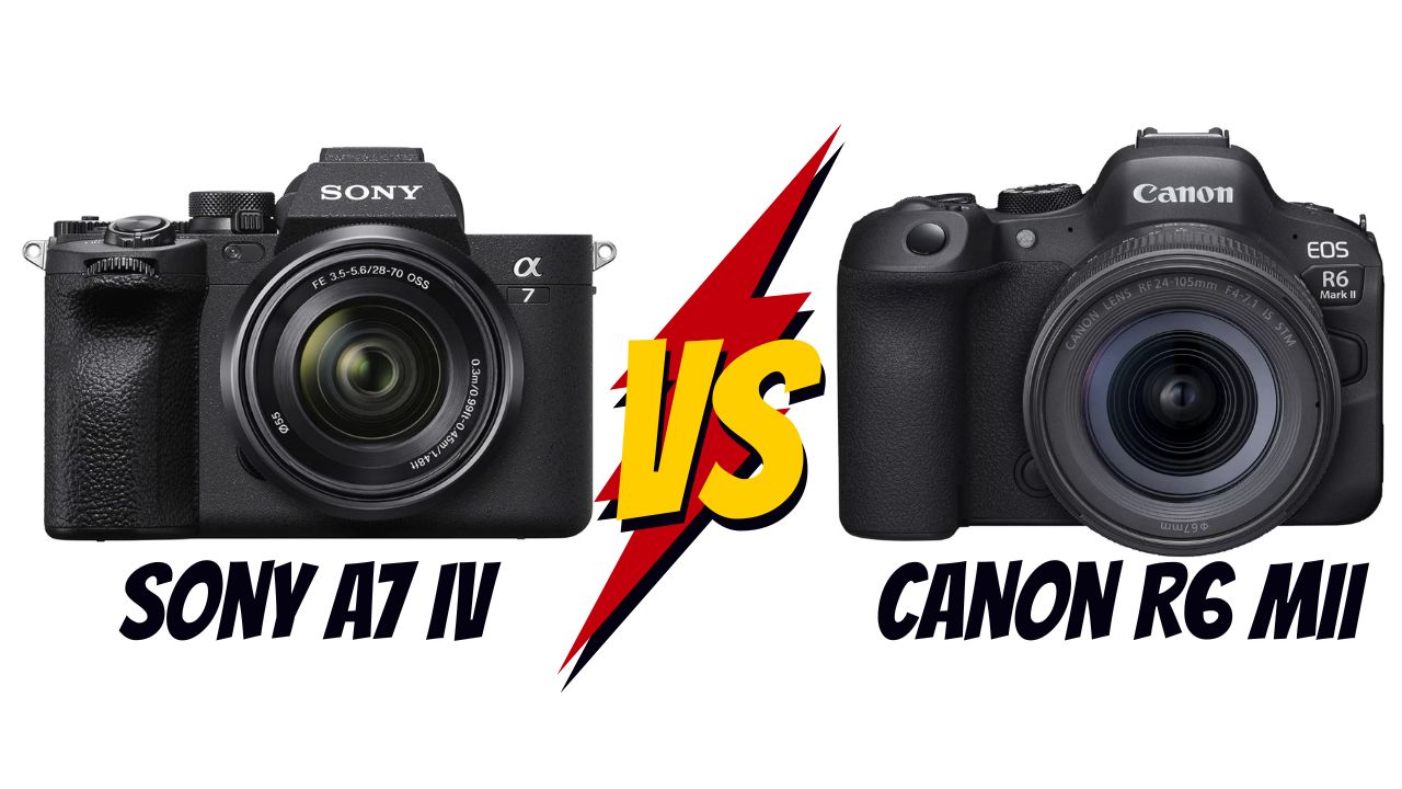 sony a7 IV vs canon r6 mII lequel choisir