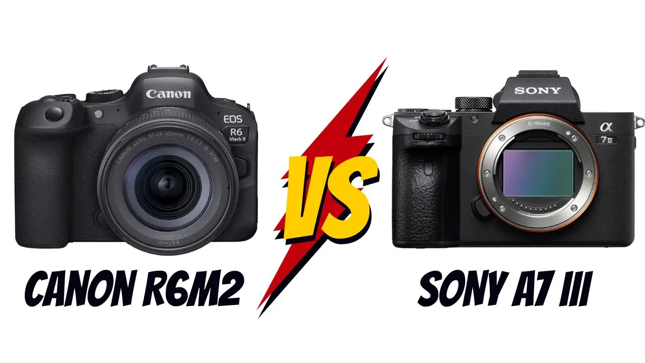 canon r6 m2 vs sony a7 III