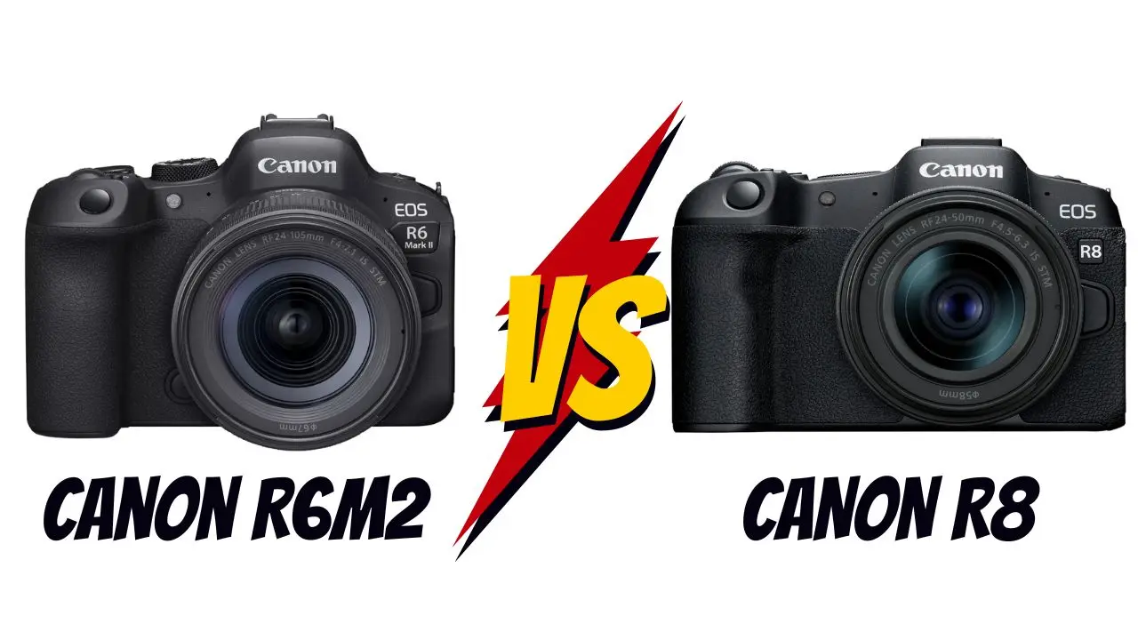 canon r6 mark 2 vs canon r8