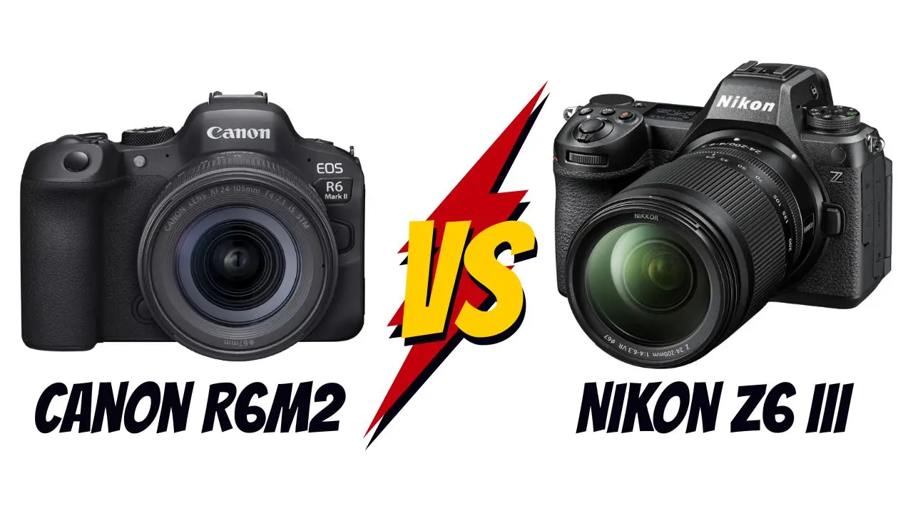 canon r6 mark 2 vs nikon z6 III