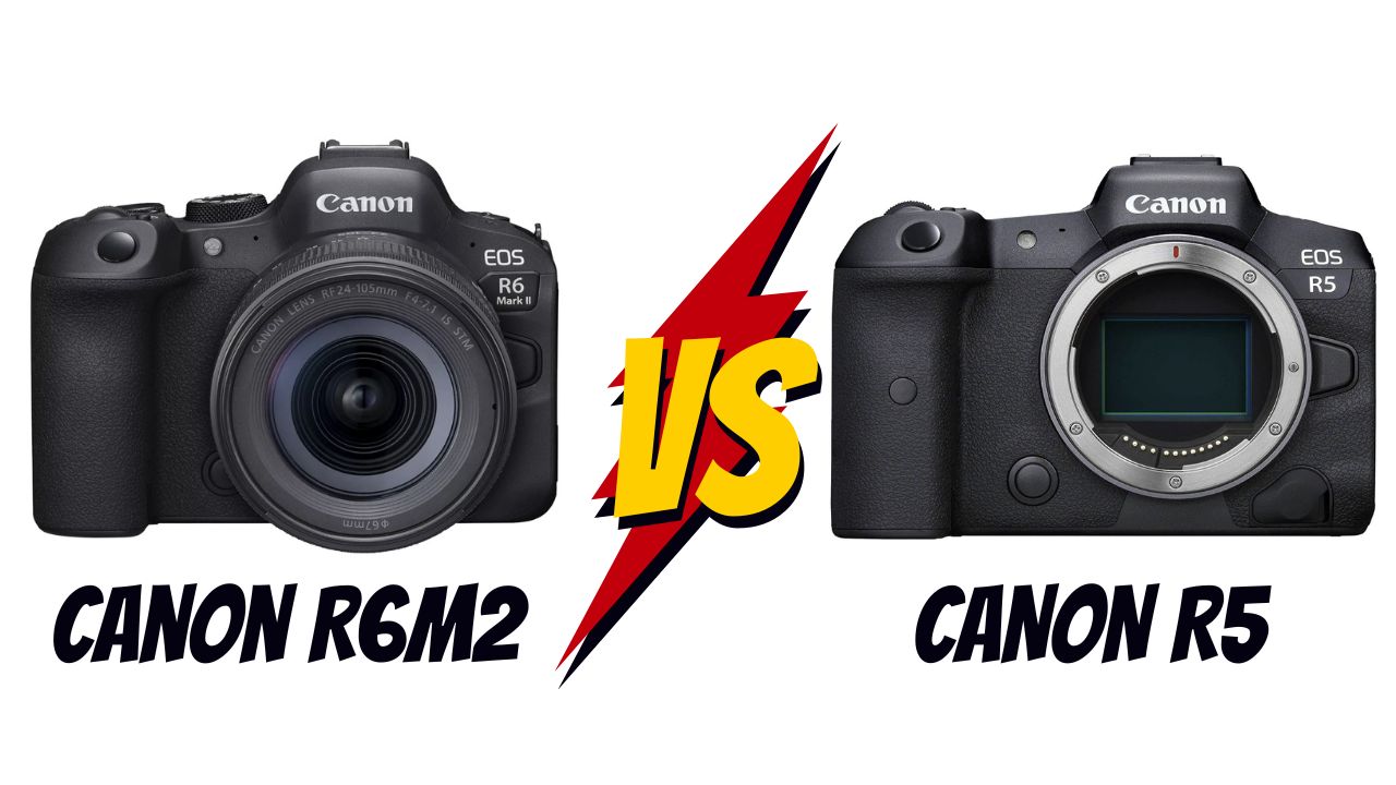 canon r6 mark II vs canon r5