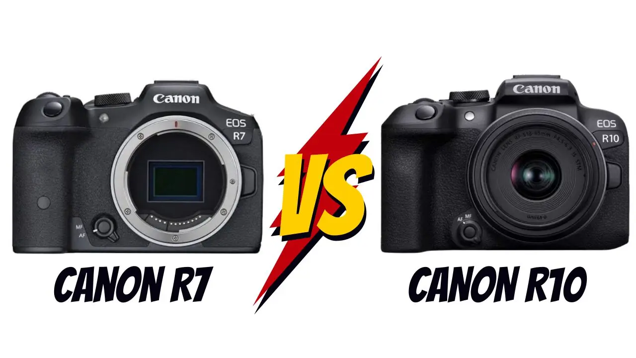 canon r7 vs canon r10