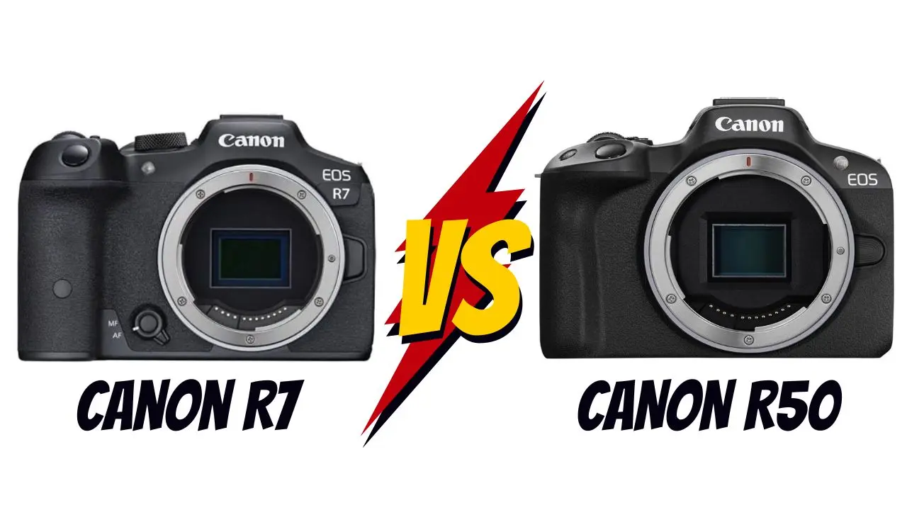canon r7 vs canon r50