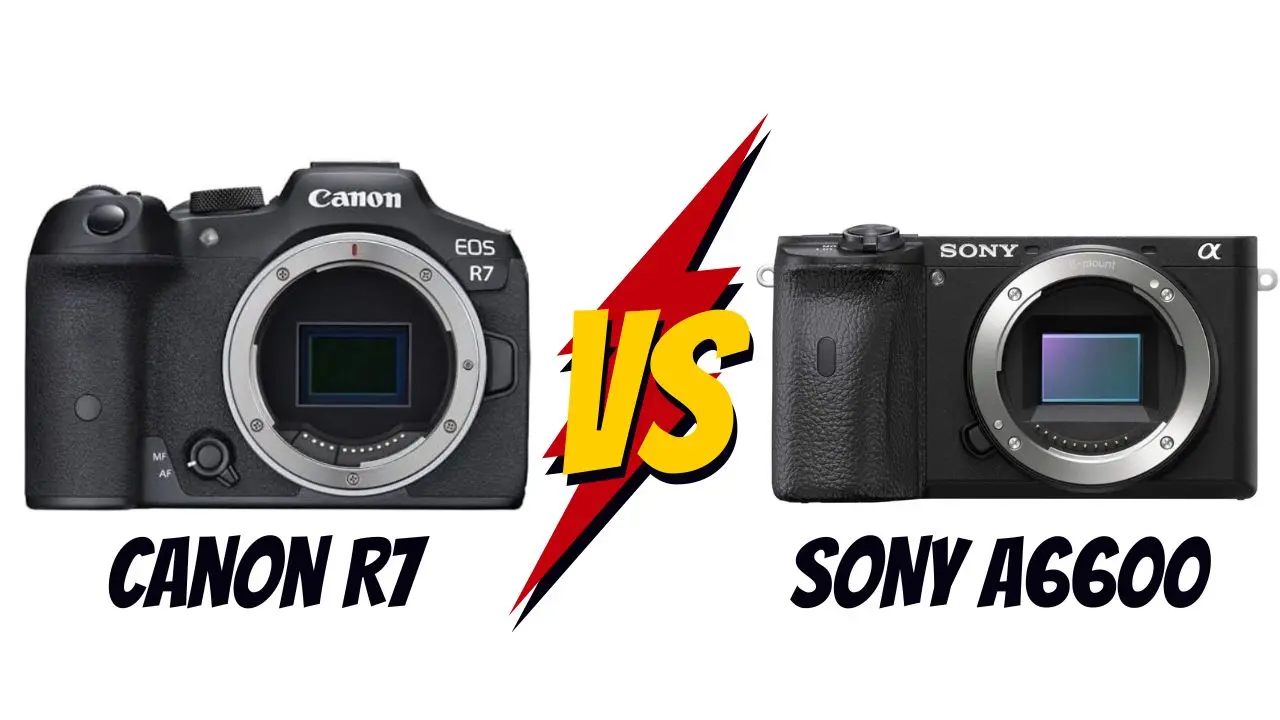 canon r7 vs sony a6600
