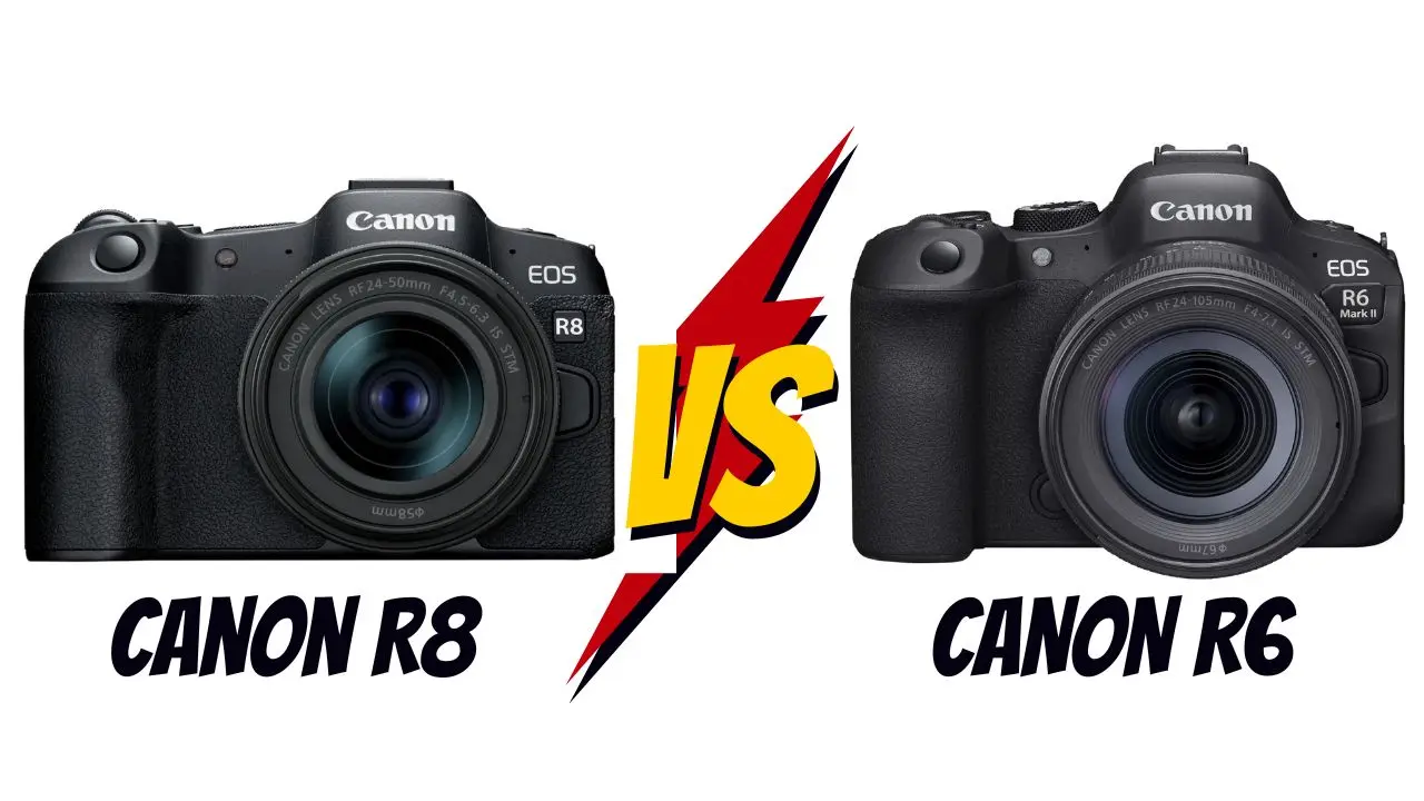 canon r8 vs canon r6