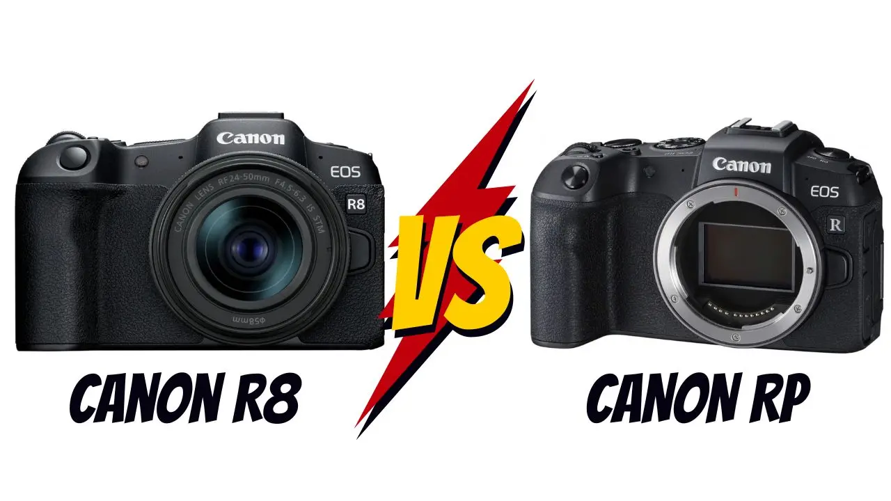 canon r8 vs canon rp