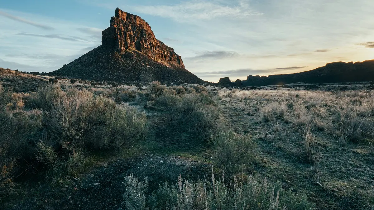 quel objectifs pour Panasonic Lumix G9M2