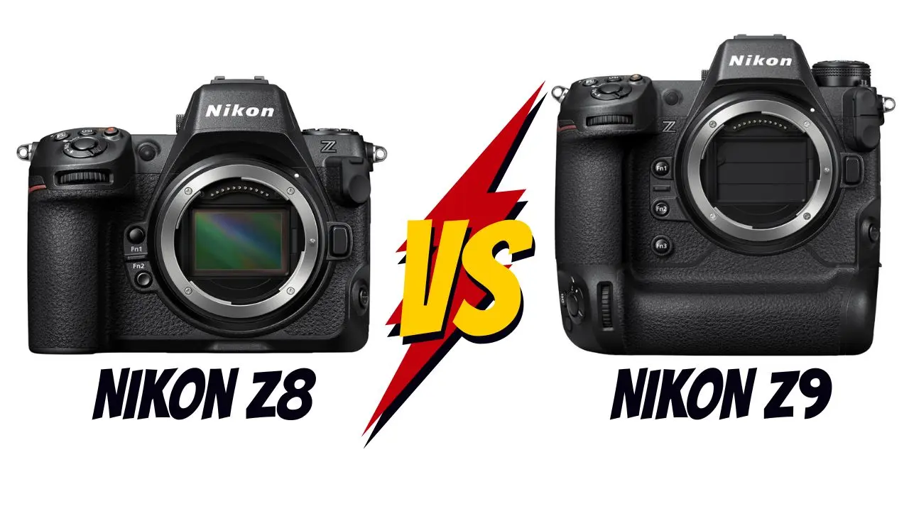 nikon z8 vs nikon z9 lequel choisir