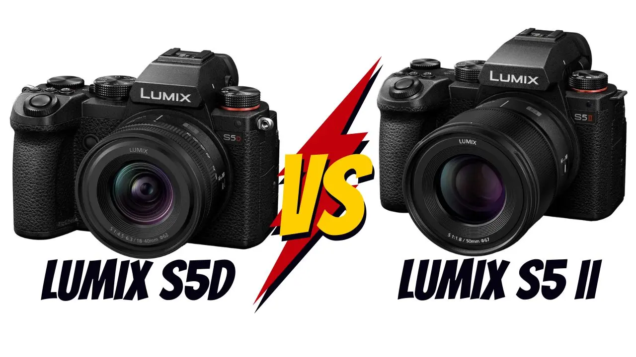 Panasonic Lumix S5D vs S5 II lequel choisir