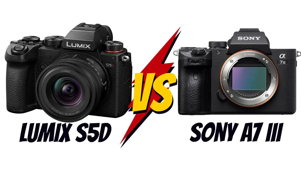 Panasonic Lumix S5D vs Sony A7 III lequel choisir