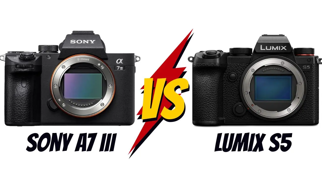 Sony A7 III vs Panasonic Lumix S5 lequel choisir