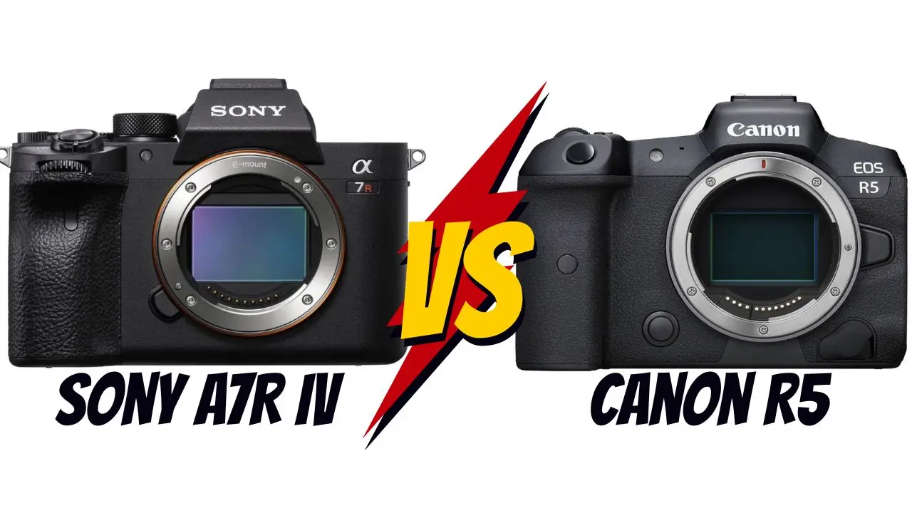 Sony Alpha 7R IV vs Canon R5 lequel choisir