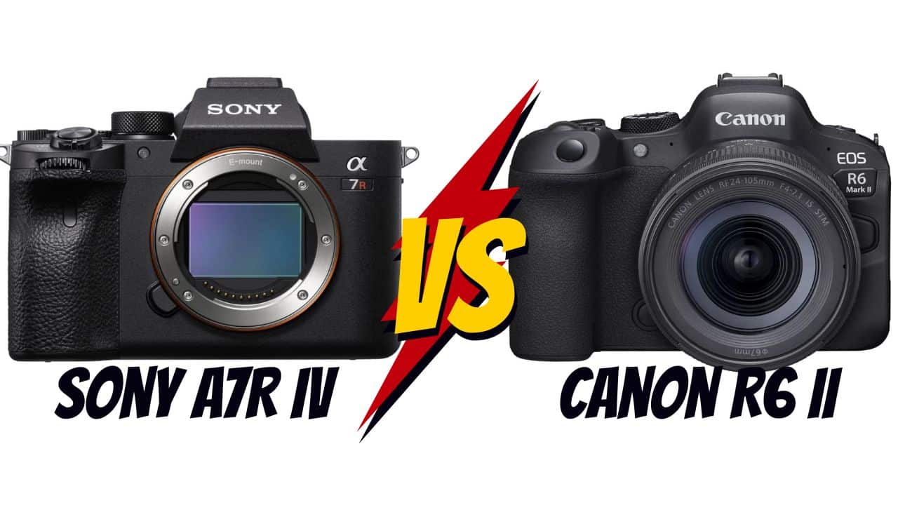 Sony Alpha 7R IV vs Canon R6 Mark II lequel choisir